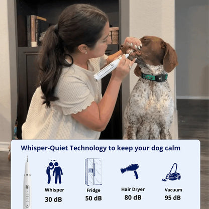 Silent Ultrasonic Plaque & Tartar Remover for Pets