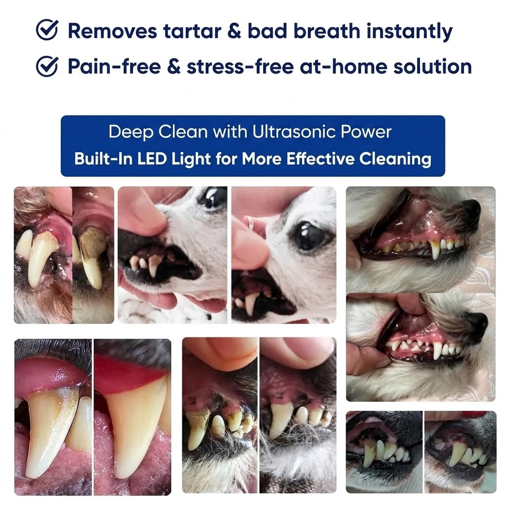 Silent Ultrasonic Plaque & Tartar Remover for Pets