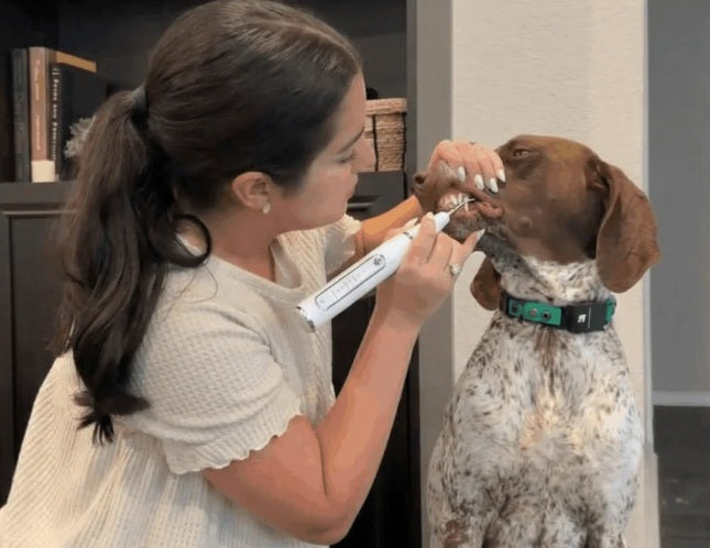 files/dog_2_FPG.jpg