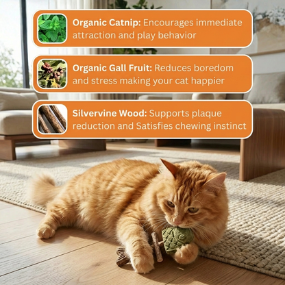 ChiMeow - Catnip & Silvervine Chew