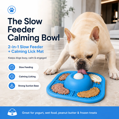 Calm Bowl - Finnaly Settle Your Anxious Dog