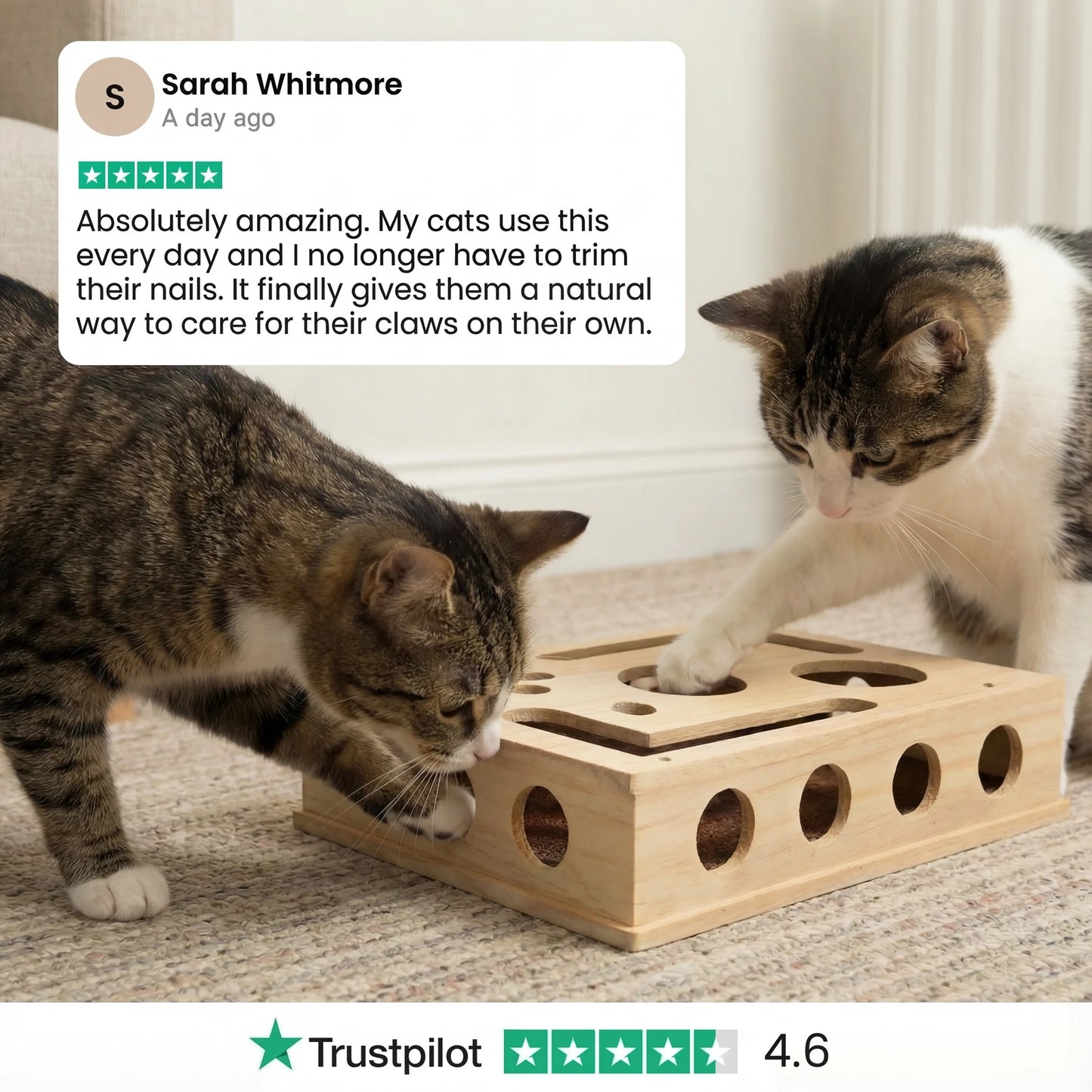 ChiMeow - The Nail Care Kit