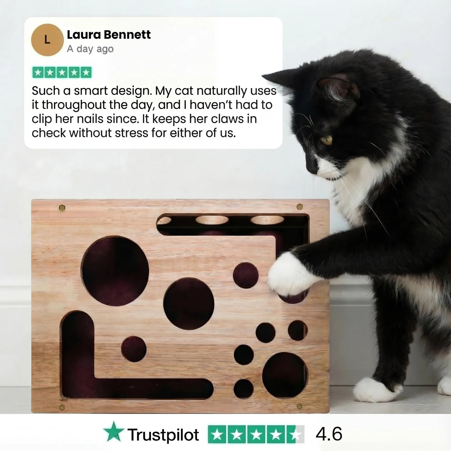 ChiMeow - The Nail Care Kit