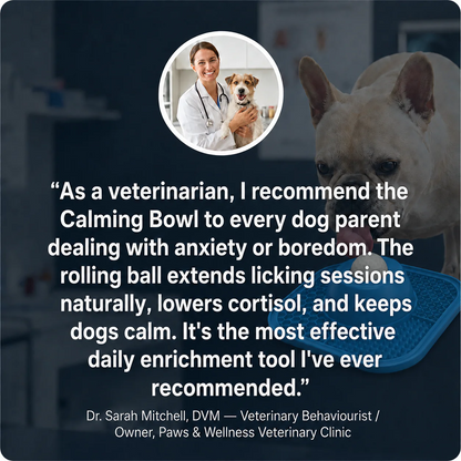 Calm Bowl - Finnaly Settle Your Anxious Dog