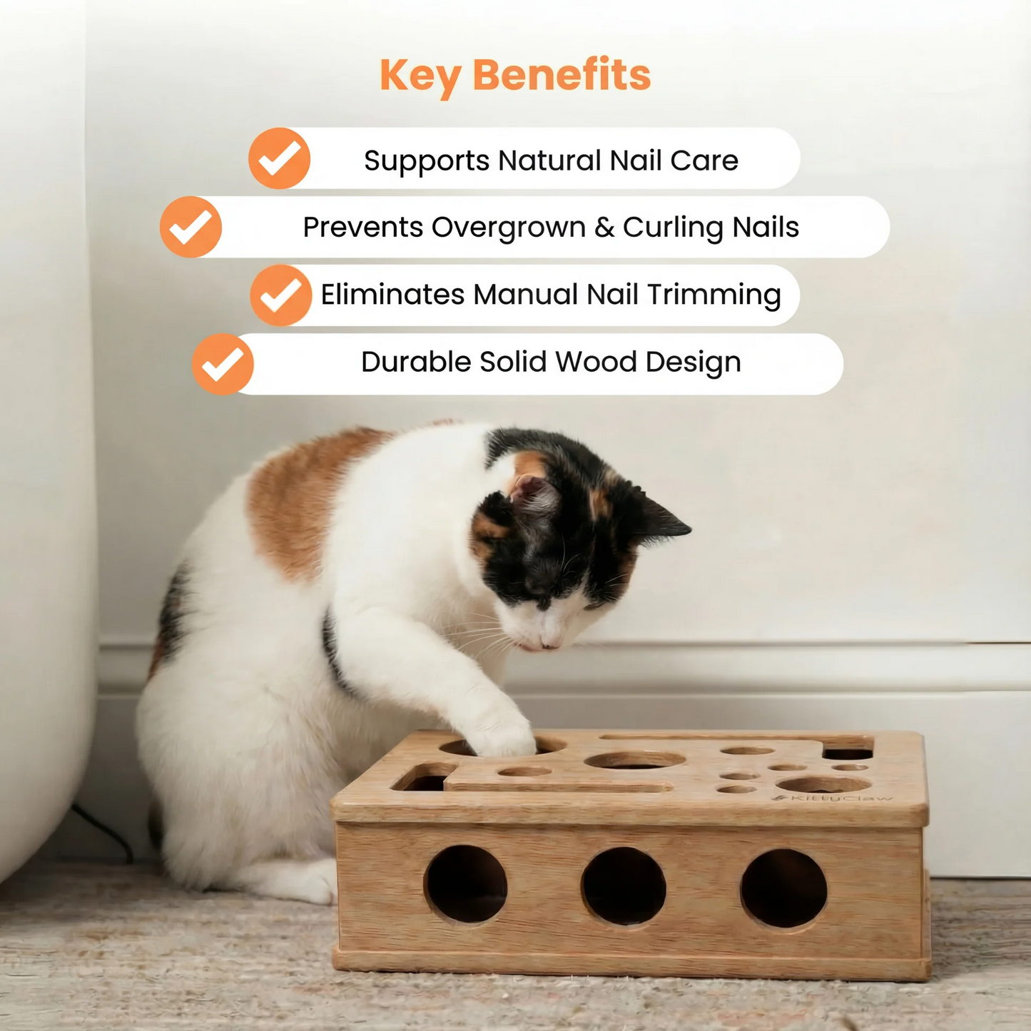 ChiMeow - The Nail Care Kit