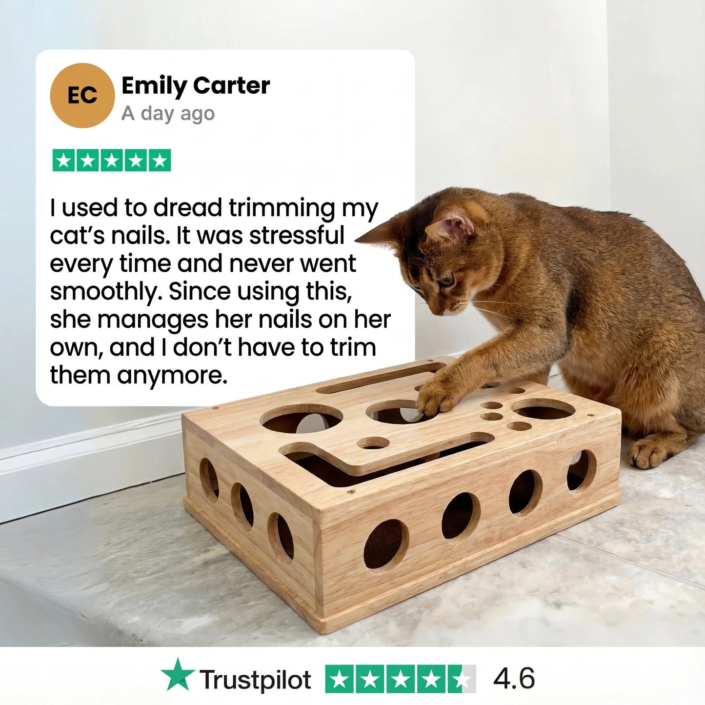 ChiMeow - The Nail Care Kit