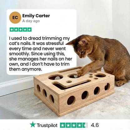 ChiMeow - The Nail Care Kit